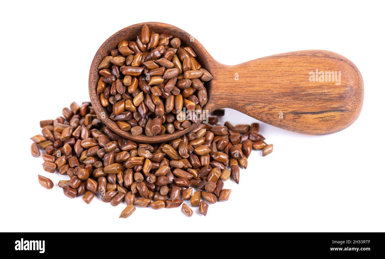Cassia tora beans in wooden spoon, isolated on white background. Sicklepod or Senna obtusifolia. Clipping path. Stock Photo