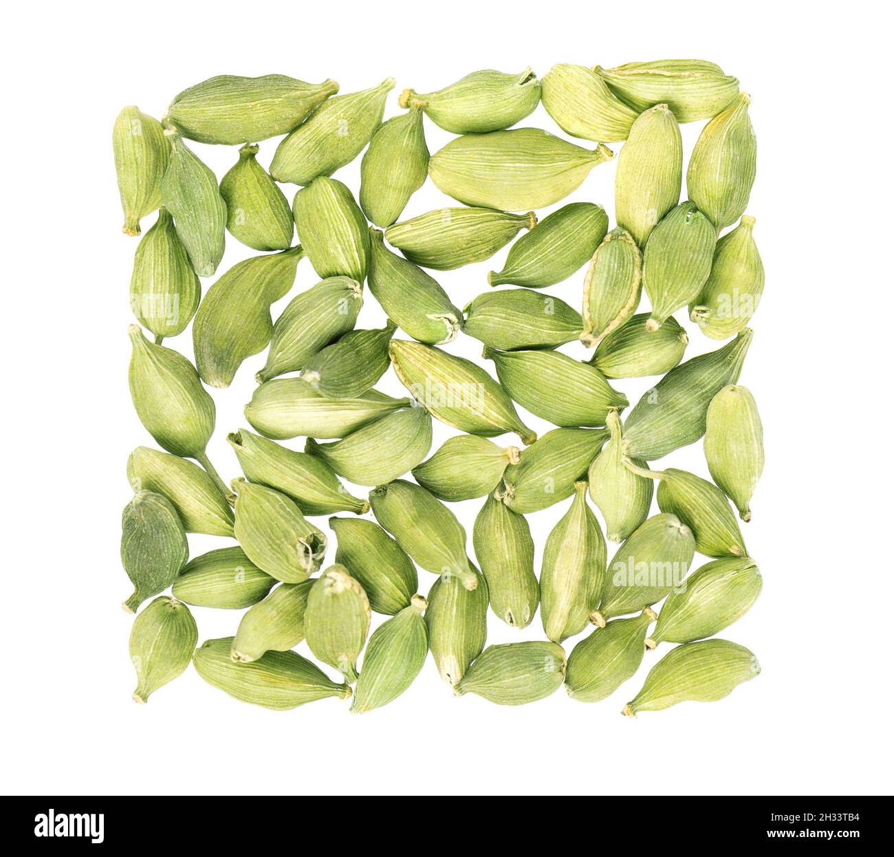 Cardamom pods isolated on white background. Green cardamon seeds