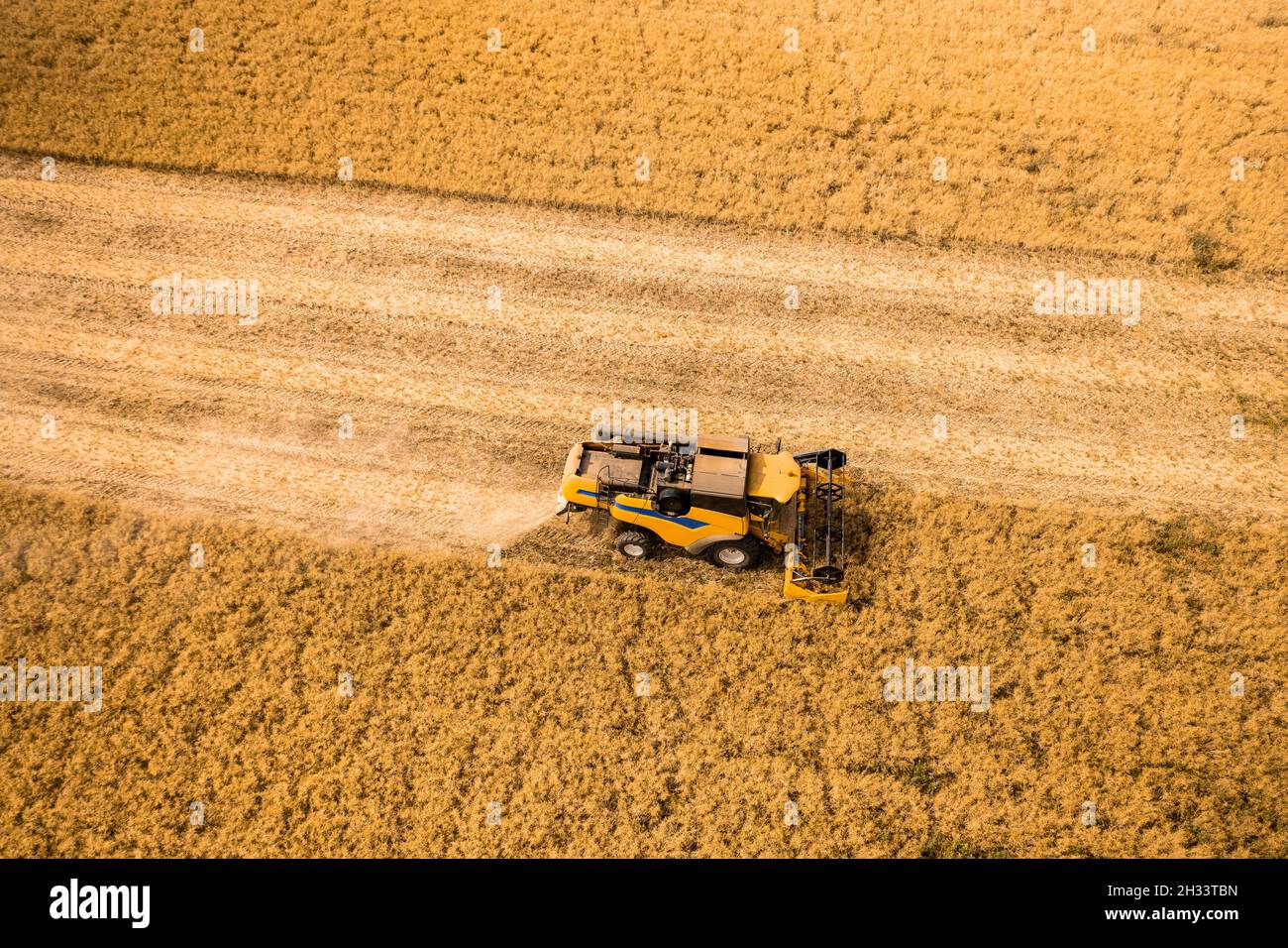 Top view of a combine harvester harvesting wheat from a field Stock ...