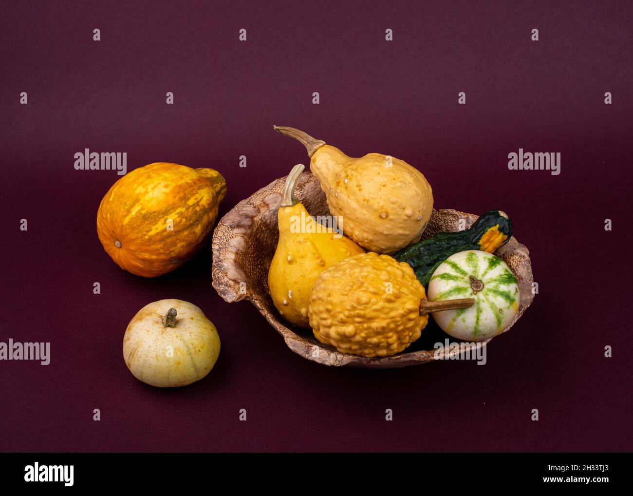 Orange small pumpkins on dark purple background. Stock Photo