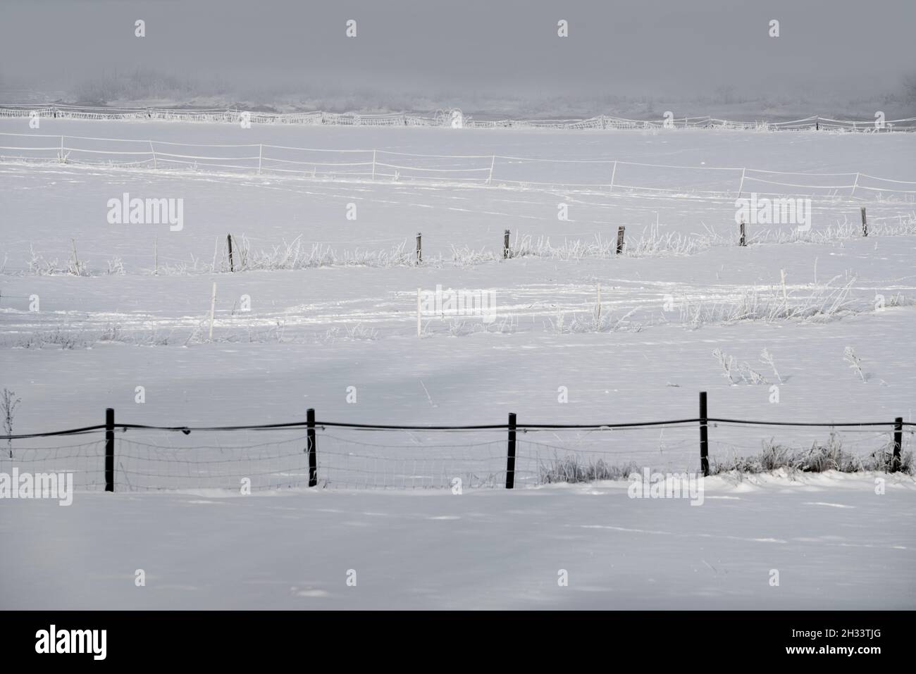 snowcapped landscape, Wesertal, Gewissenruh, Weser Uplands, Weserbergland, Hesse, Germany Stock Photo