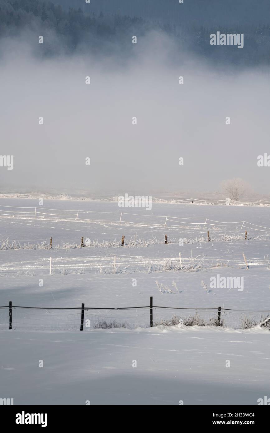 snowcapped landscape, Wesertal, Gewissenruh, Weser Uplands, Weserbergland, Hesse, Germany Stock Photo