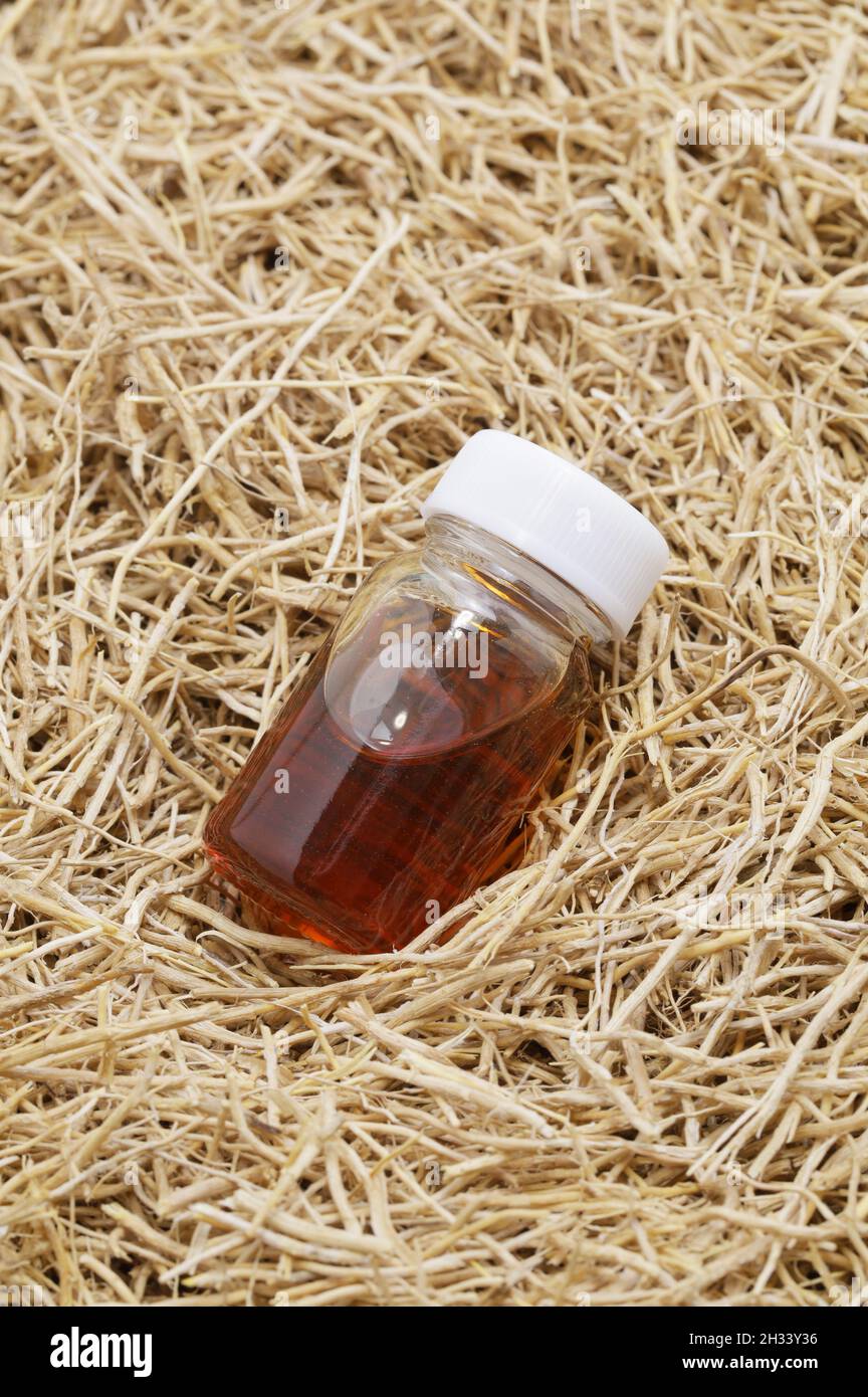 dried vetiver roots and vetiver essential oil in a glass vial, fragrance material Stock Photo