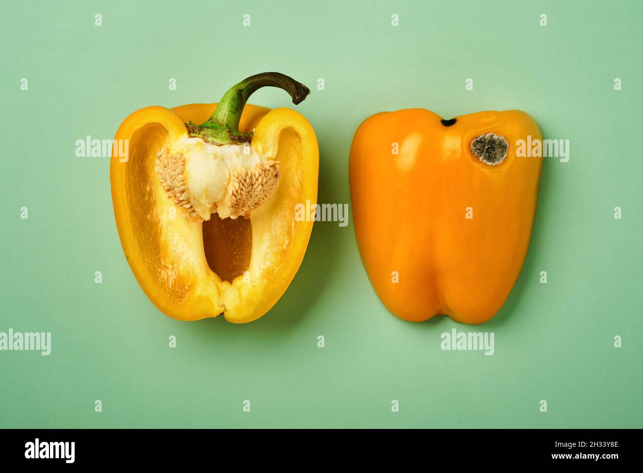 Moldy and wrinkled rotten yellow peppers. Concept of unhealthy