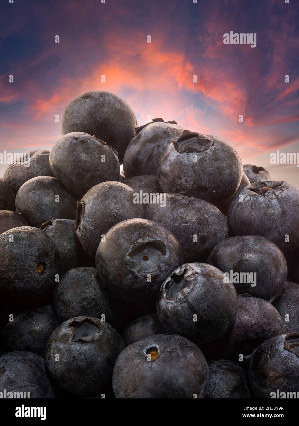 Healthy Blueberries, fruit still-life Stock Photo - Alamy