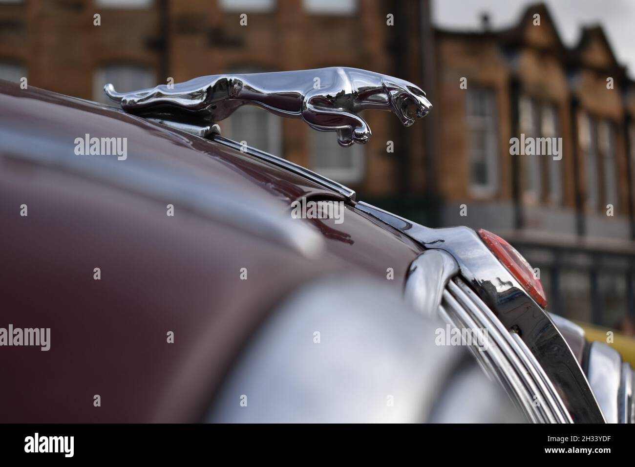 Classic Car Jaguar Badge upclose Stock Photo Alamy