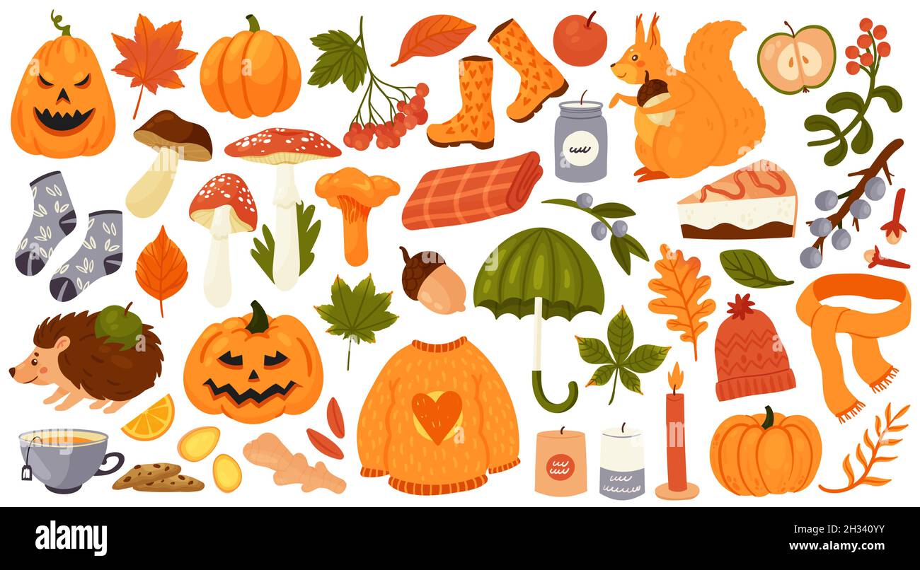 Autumn set vector illustration. Cartoon autumn collection with fall acorn and edible mushrooms, Halloween pumpkin, orange leaf of maple oak and chestnut, cozy warm plaid and hot tea isolated on white Stock Vector