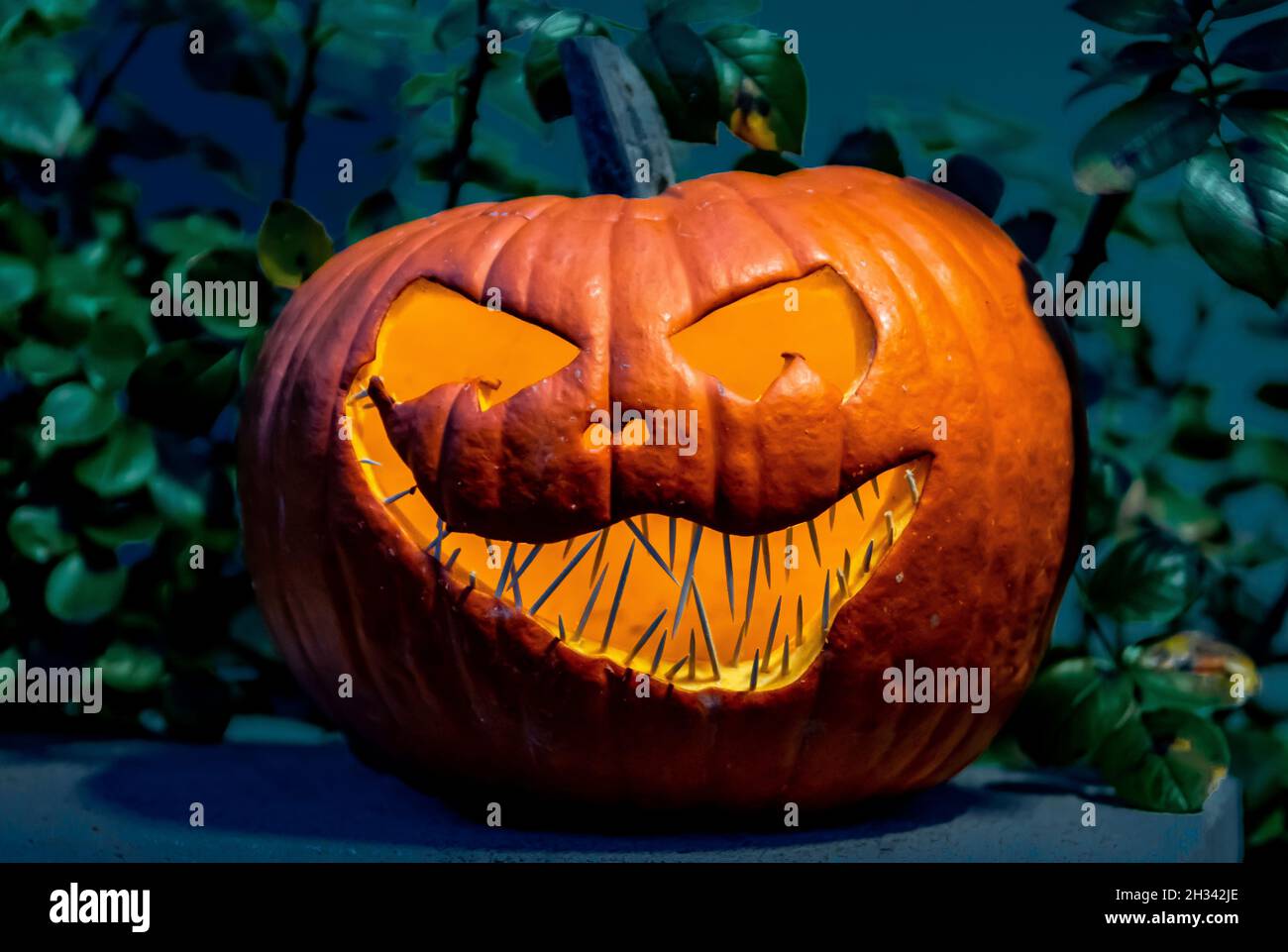 Evil Grinning Halloween Jack-O-Lantern In The Night Stock Photo - Alamy