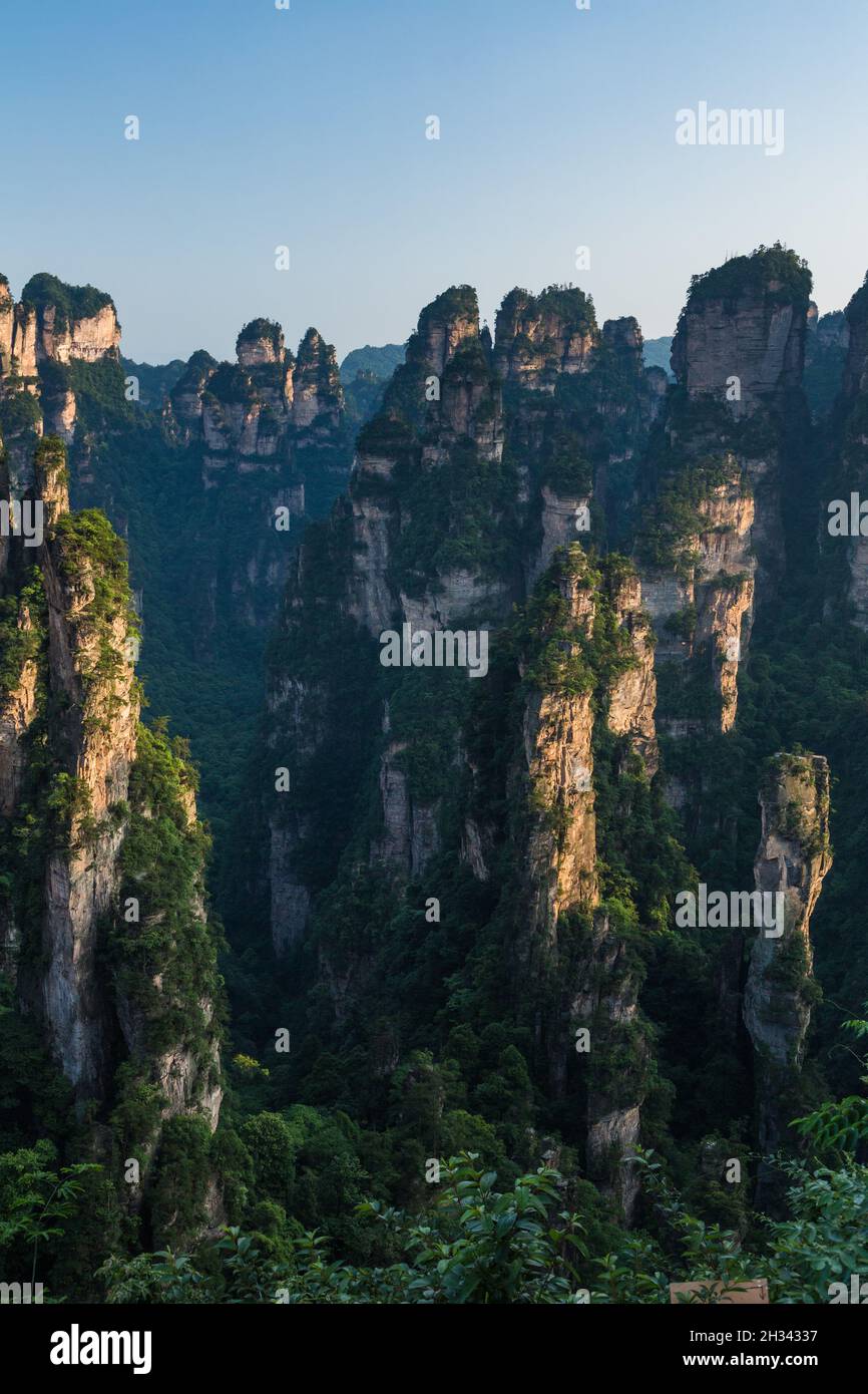 The quartzite sandstone pillars of the Avatar Mountains of Zhangjiajie