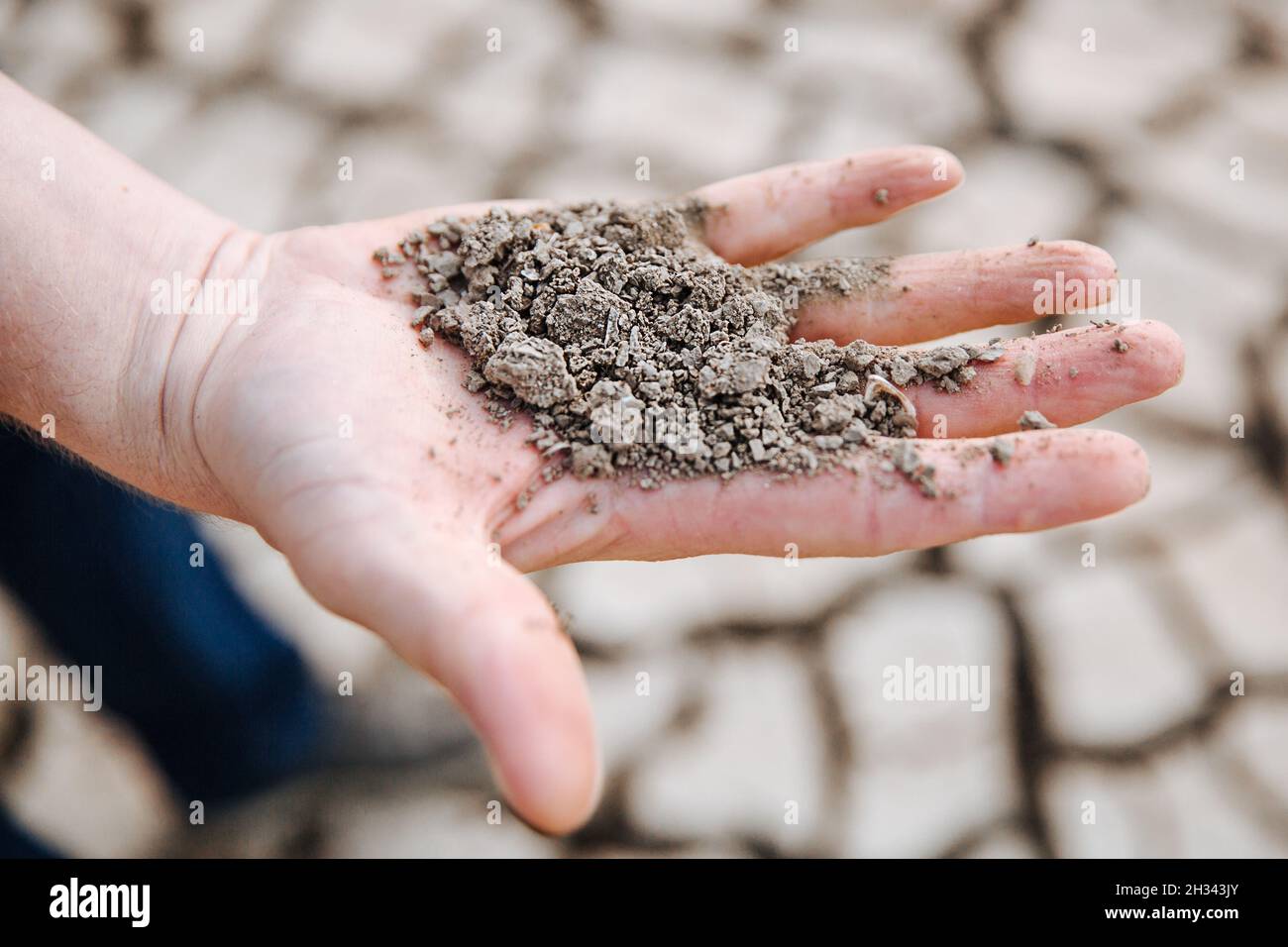 The man is holding the very dry soil in his palm. Concept of soil erosion due to lack of precipitation due to global warming. Stock Photo