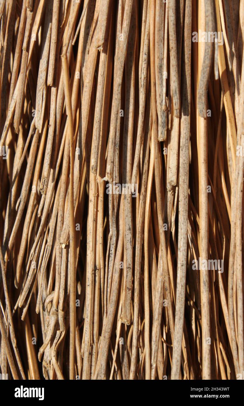close up of a straw broom Stock Photo