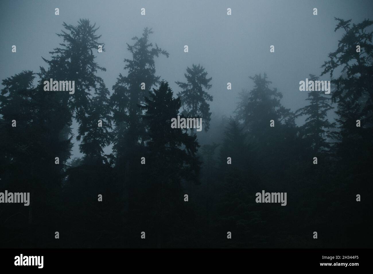 Spooky dark landscape hi-res stock photography and images - Alamy