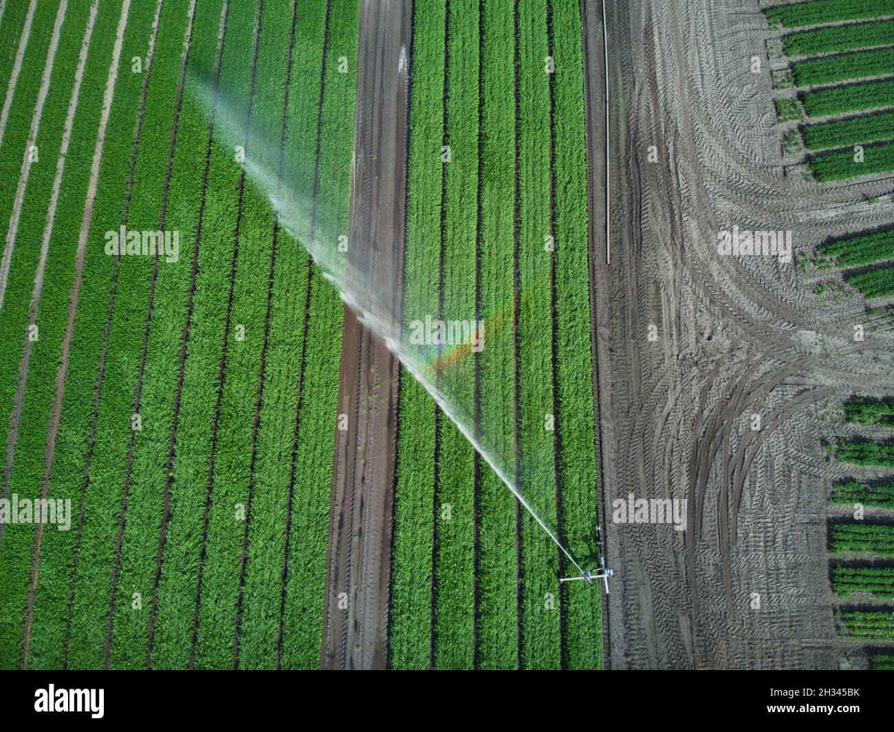 Arable crop irrigation system Stock Photo Alamy