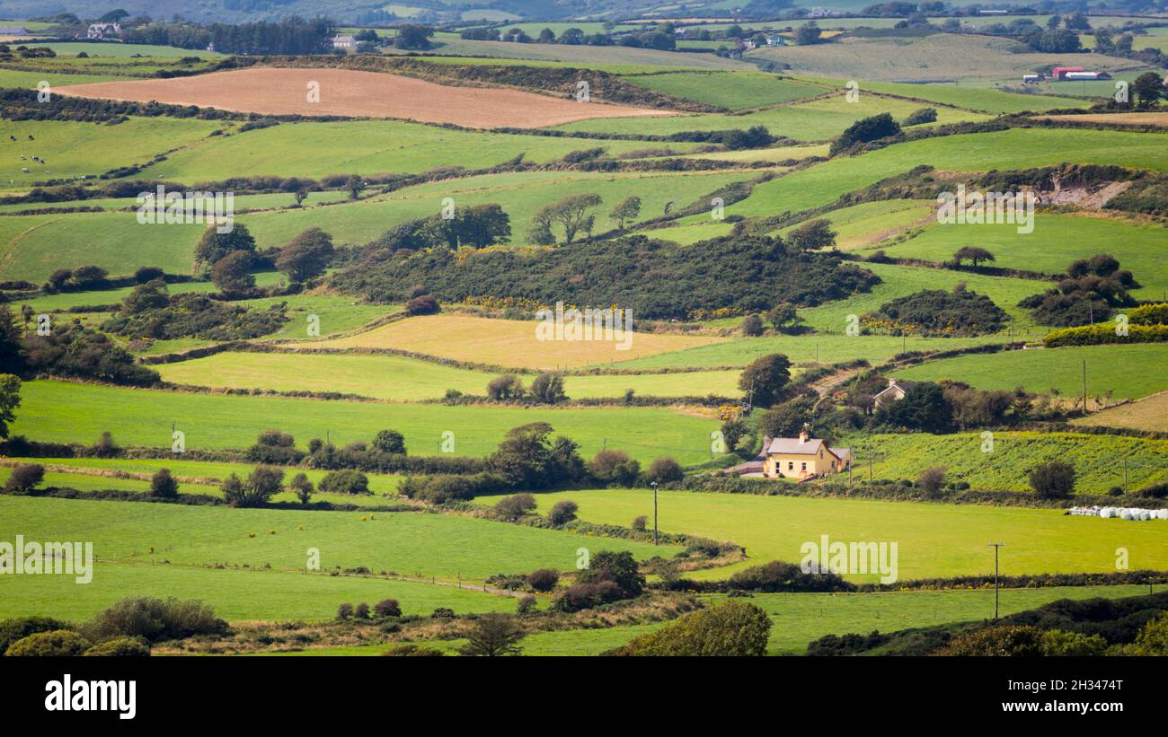 Typical landscape near Ardfield (or Ardfoyle), County Cork, Republic of Ireland.  Eire.  Farmland, farmhouses, chequered fields. Stock Photo