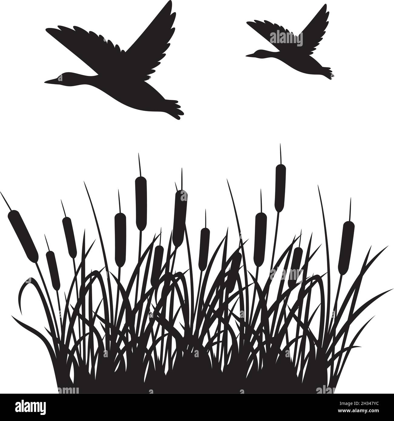 Flying mallard duck and reeds vector illustration Stock Vector