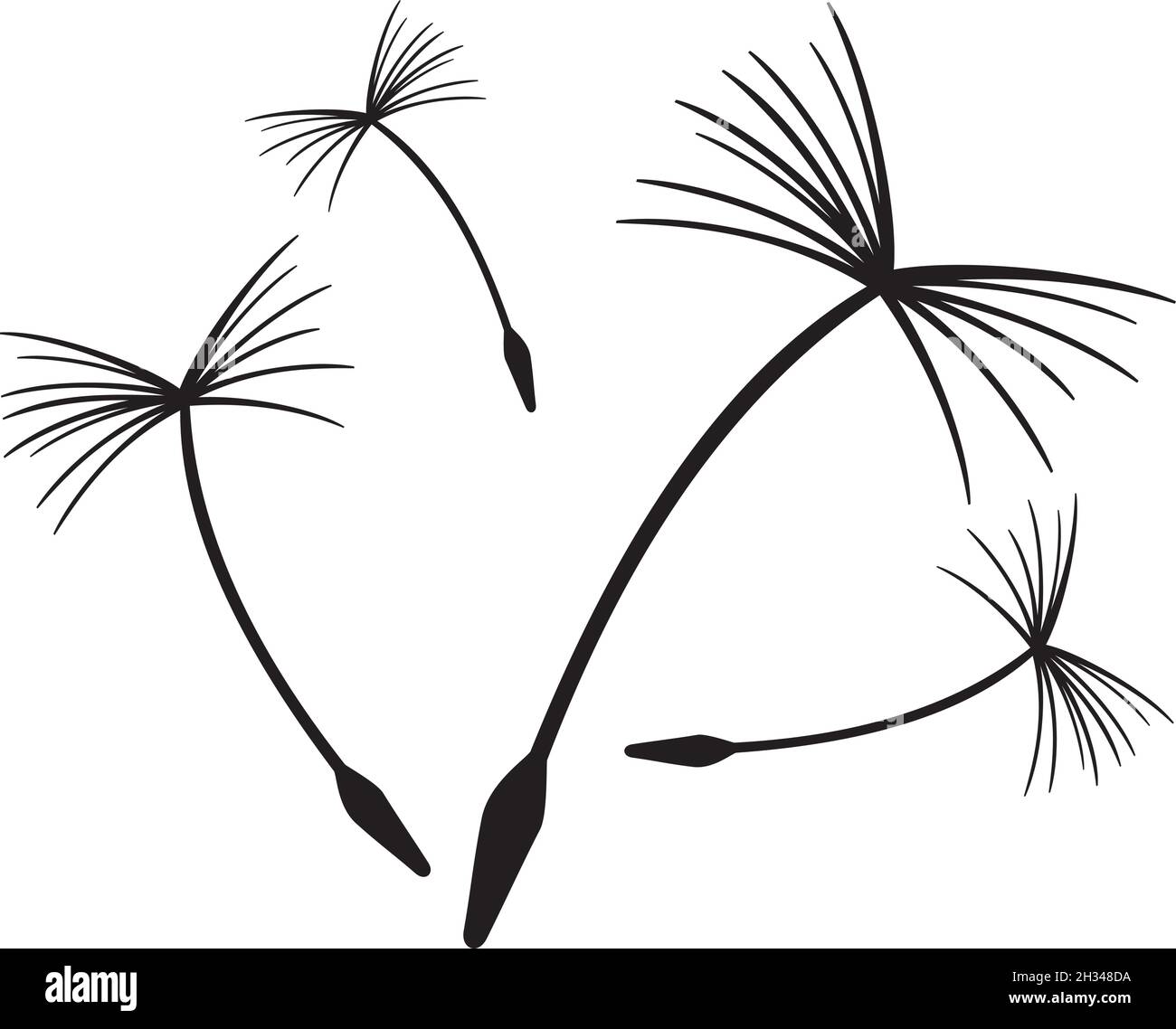 Dandelion seeds in the wind vector illustration Stock Vector