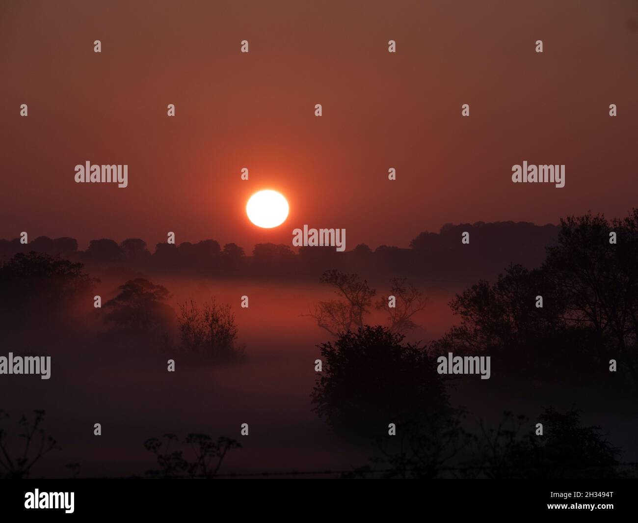 Sunrise over mist filled landscape along the Stour River in Dorset Stock Photo