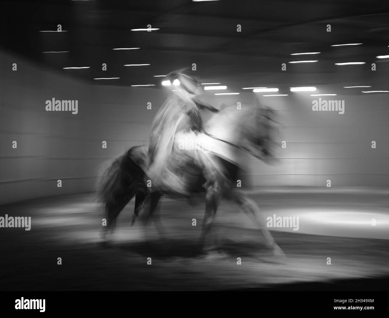 Gompa, Horse show at Artequus Theatre. Alhaurin de La Torre, Malaga province, Andalusia, Spain. Stock Photo