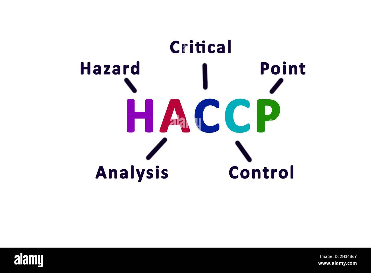 HACCP Hazard analysis critical control points icon on white background Stock Photo