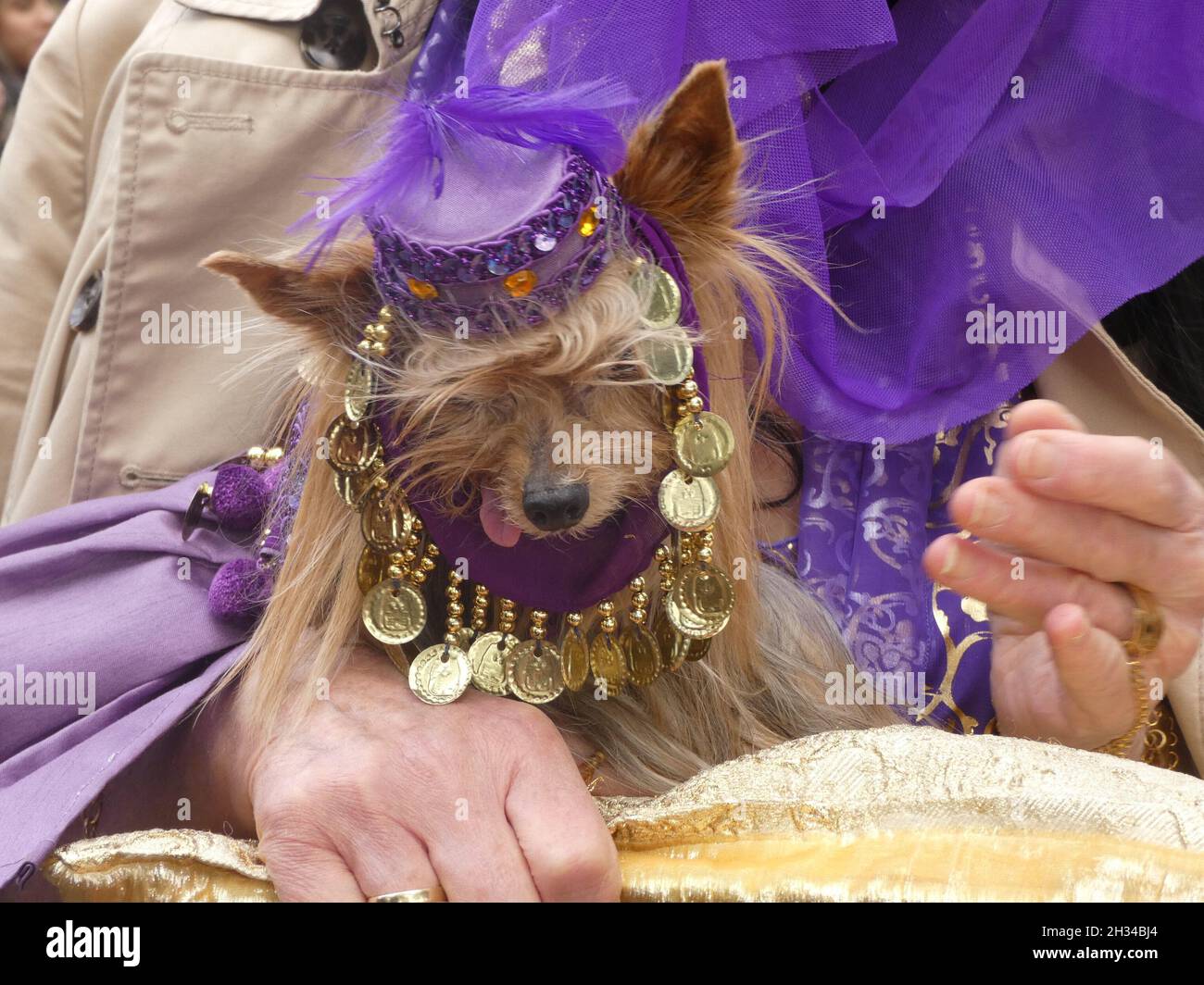 New York, USA. 25th Oct, 2021. ARCHIVES****(NEW) Feisty Costumed