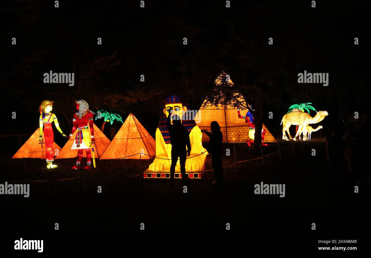 People getting an early look during the preview of Dublin Zoo Wild