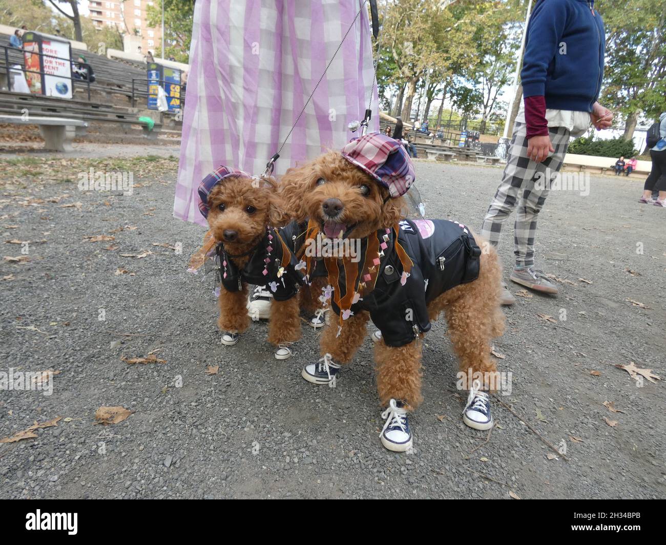 Overdressed High Resolution Stock Photography And Images Alamy