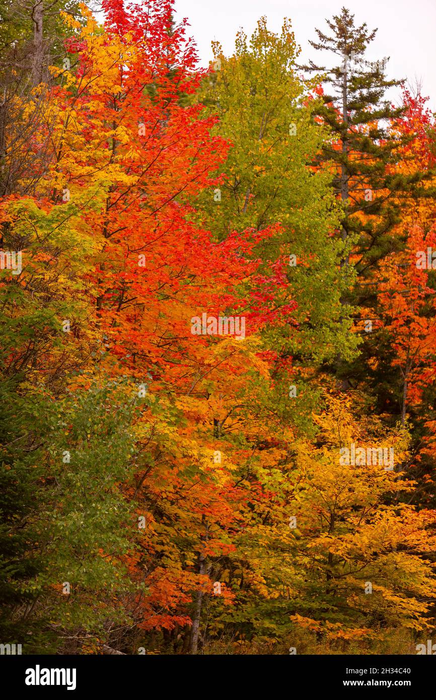 WARREN, VERMONT, USA - Fall foliage, autumn color in Mad River Valley ...