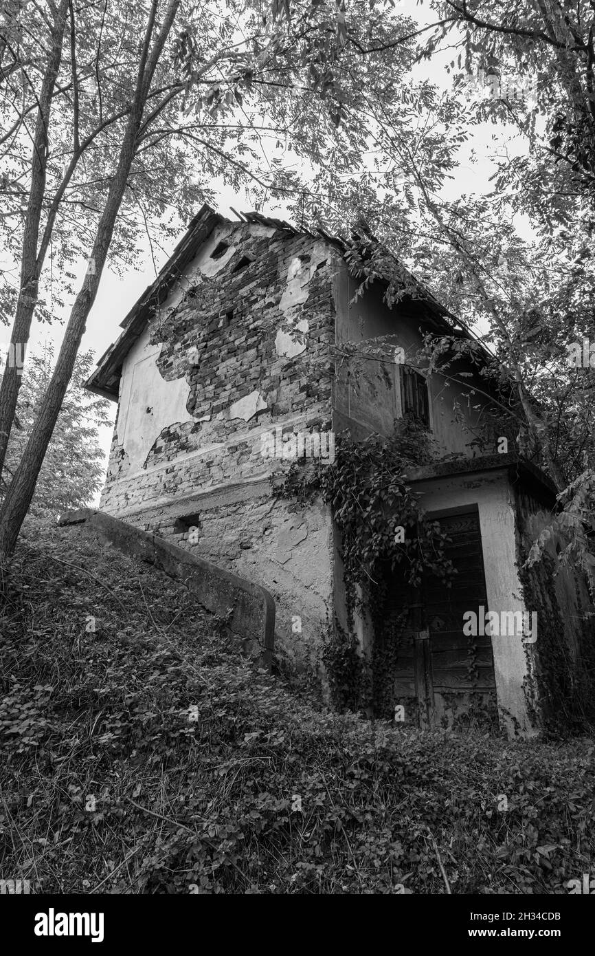 Old abandoned house in the woods Stock Photo
