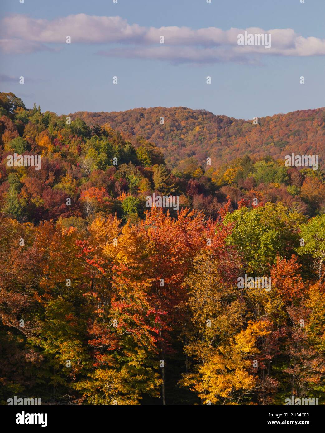 WARREN, VERMONT, USA Fall foliage, autumn color in Mad River Valley
