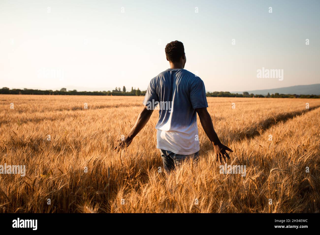 Young farmer standing in the middle of the field Stock Photo - Alamy