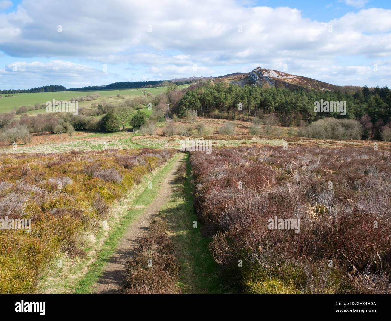 View to a quartzite rock outcrop known as 'The Rock', from Black Rhadley Hill at the southern end of the Stiperstones ridge Stock Photo