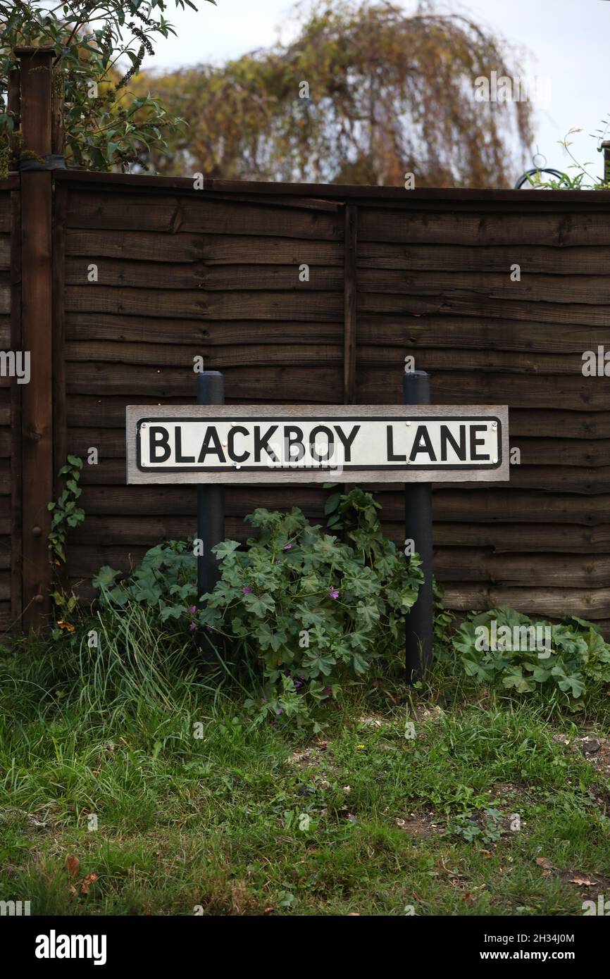 A street sign for Blackboy Lane pictured in Chichester, West Sussex, UK Stock Photo Alamy