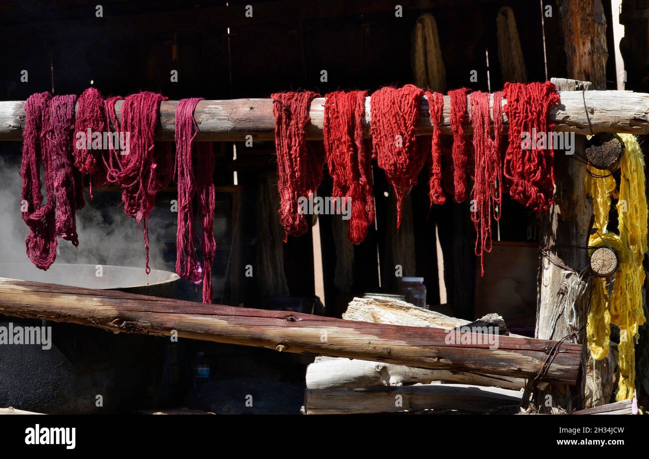 Cochineal insects hi-res stock photography and images - Alamy