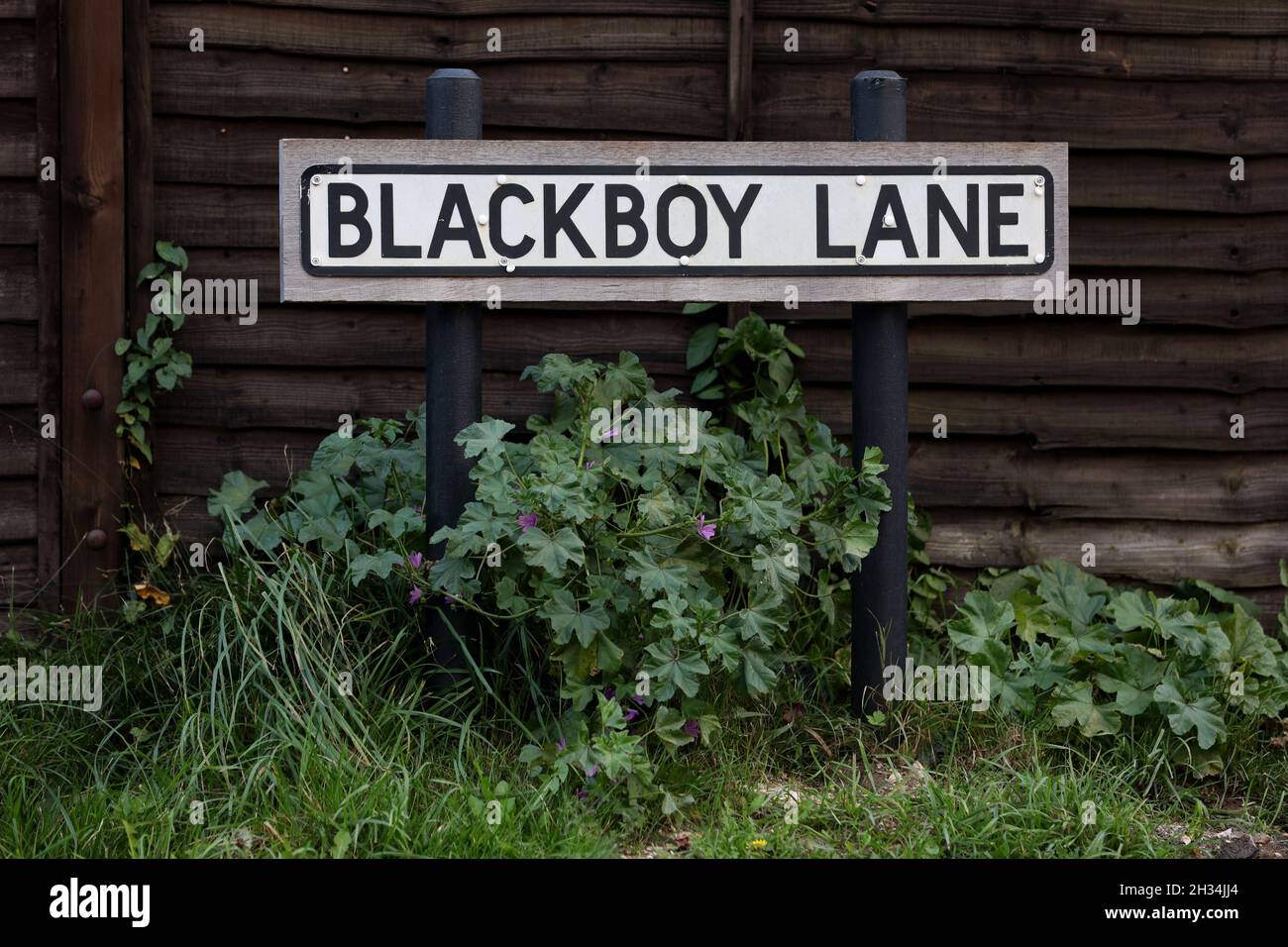 A street sign for Blackboy Lane pictured in Chichester, West Sussex, UK Stock Photo Alamy