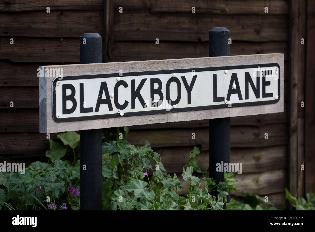 A street sign for Blackboy Lane pictured in Chichester, West Sussex, UK Stock Photo Alamy