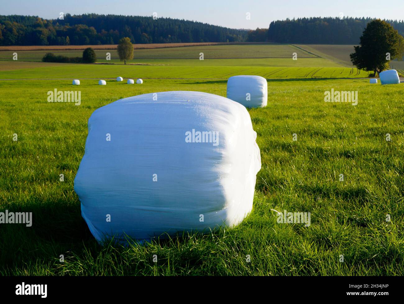 a Bavarian countryside with its beautiful meadows and fields full of hay bales on a sunny October day Stock Photo