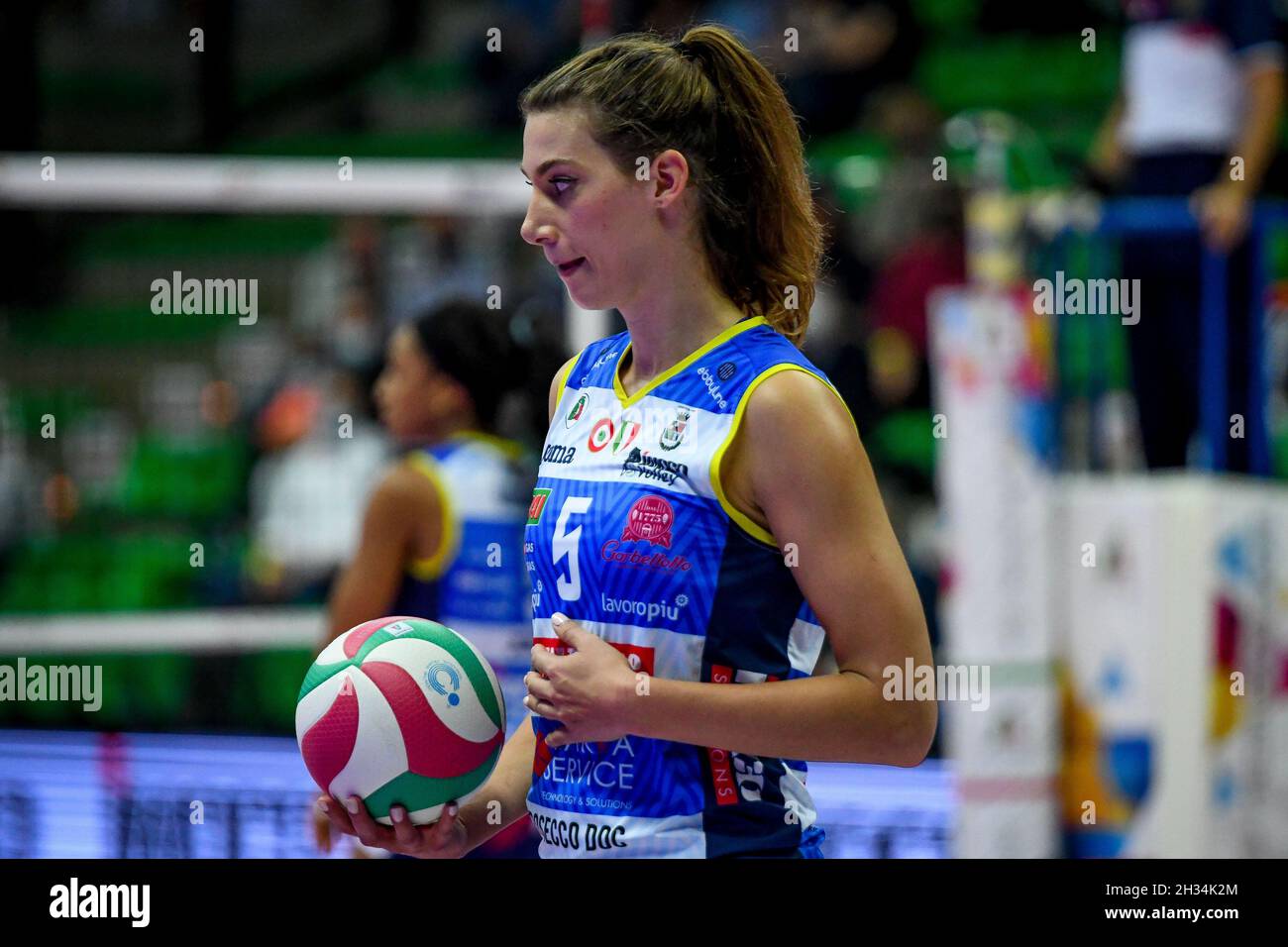 Page 8 - Volleyball Italian Player High Resolution Stock Photography and  Images - Alamy