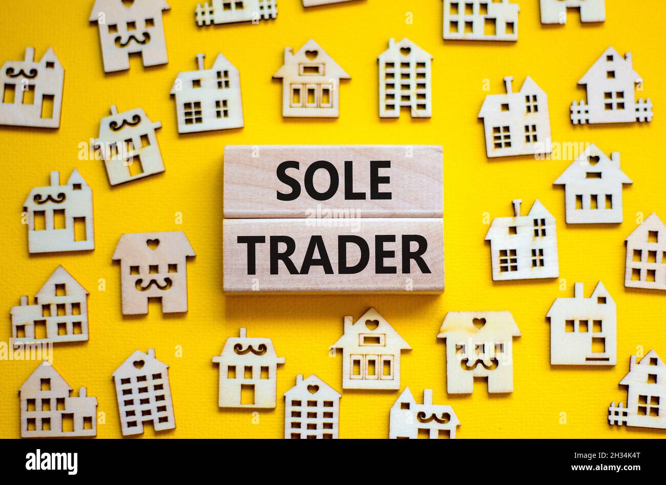 Sole trader symbol. Concept words 'Sole trader' on wooden blocks near miniature wooden houses. Beautiful yellow background. Business, sole trader conc Stock Photo
