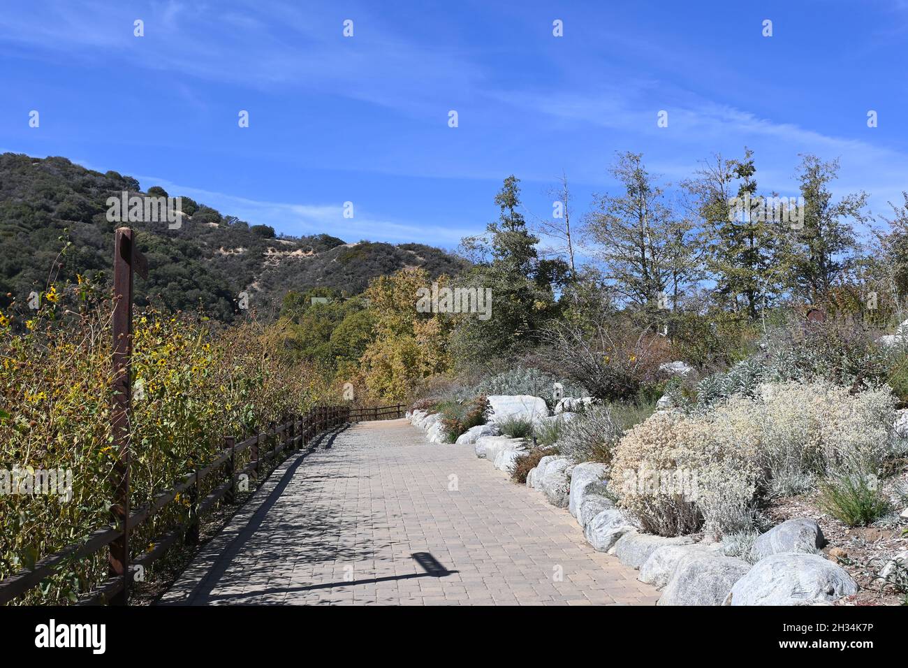 OAK GLEN, CALIFORNIA - 21 OCT 2021: Sunflower Lane at the Wildlands Conservancy Oak Glen Preserve in the foothills of the San Bernardino Mountains. Stock Photo