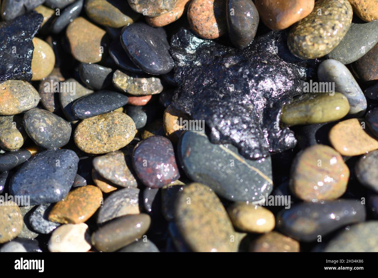 Oceanside Harbor Beach, United States. 12 October, 2021. A tar ball covers pebbles along the shoreline on Oceanside Harbor Beach following an offshore oil spill October 12, 2021 in San Diego County, California. An estimated 144,000 gallons spiked from a pipeline off Huntington Beach on October 1st.  Credit: PO3 Alex Gray/U.S. Coast Guard/Alamy Live News Stock Photo
