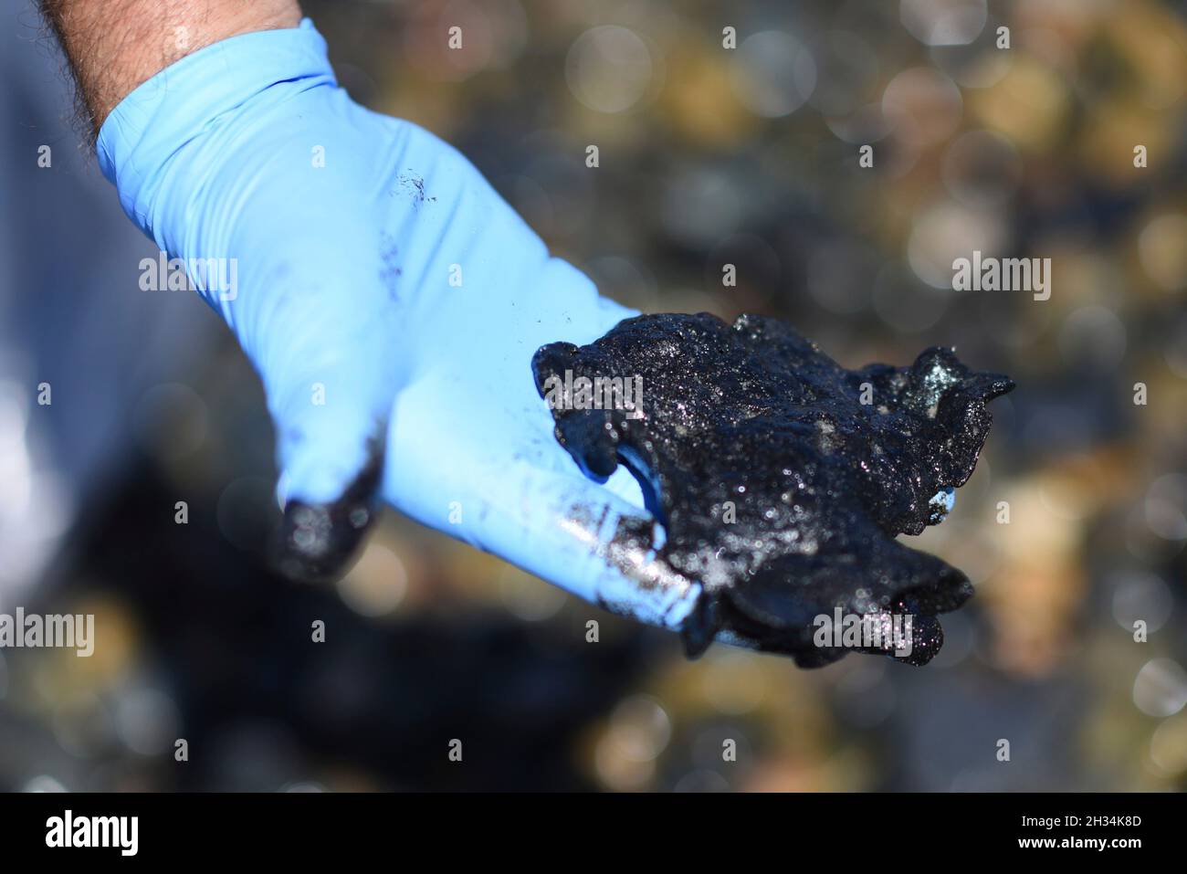 Oceanside Harbor Beach, United States. 12 October, 2021. An emergency responder holds a tar ball recovered from Oceanside Harbor Beach following an offshore oil spill October 12, 2021 in San Diego County, California. An estimated 144,000 gallons spiked from a pipeline off Huntington Beach on October 1st.  Credit: PO3 Alex Gray/U.S. Coast Guard/Alamy Live News Stock Photo