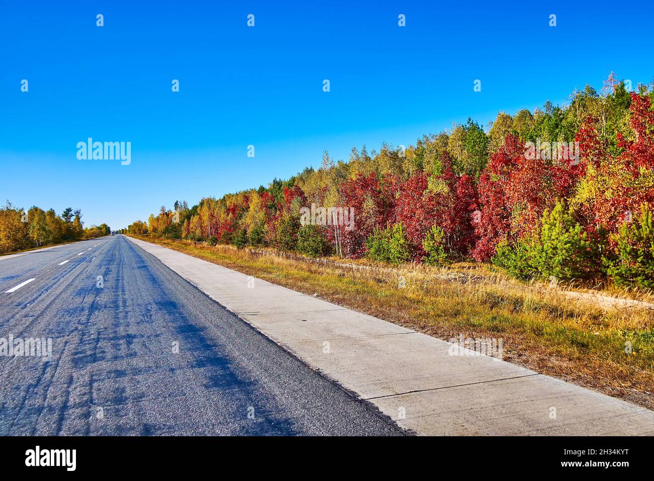 Spectacular view on autumn forest opens from the car's window during trip around Kyiv's suburb, Ukraine Stock Photo