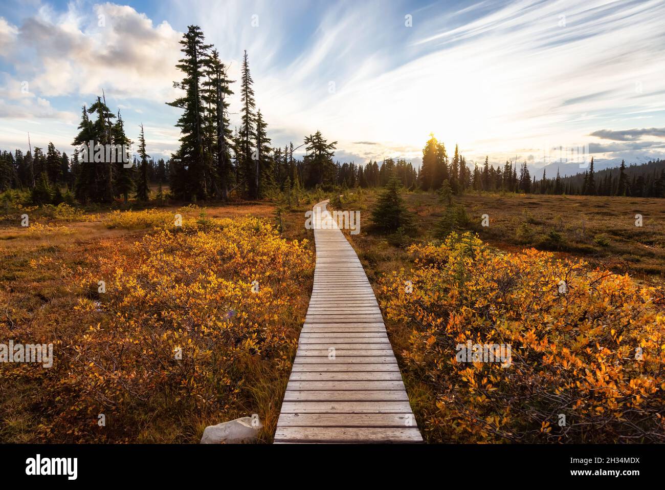 Hiking trail outdoors in Canadian nature Stock Photo - Alamy