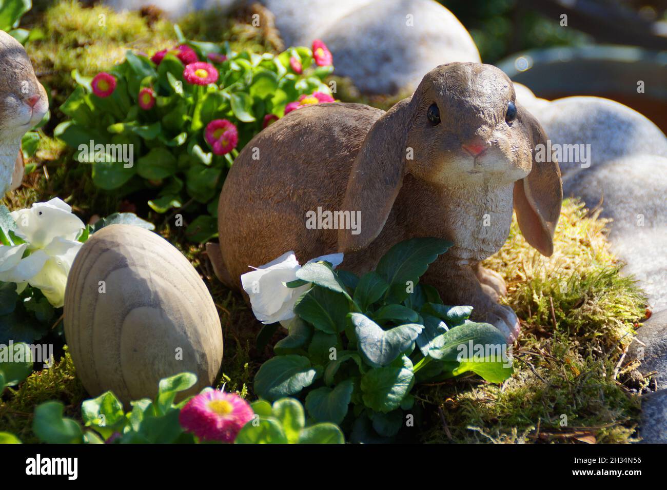 a cute easter bunny surrounded by the first spring flowers on a sunny day in May Stock Photo