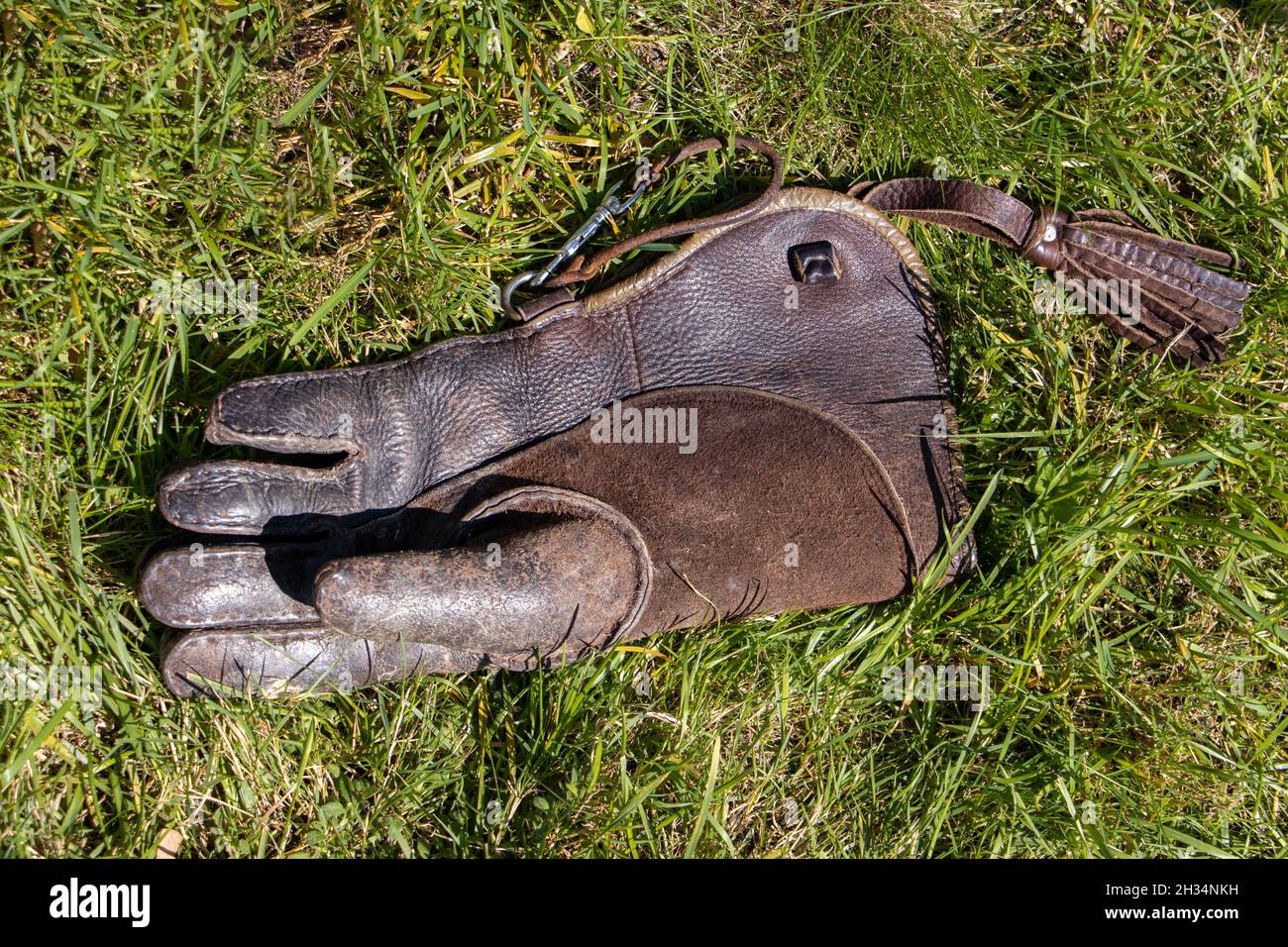 One leather glove with a long cuff for working with birds of prey, lying in green grass. Stock Photo