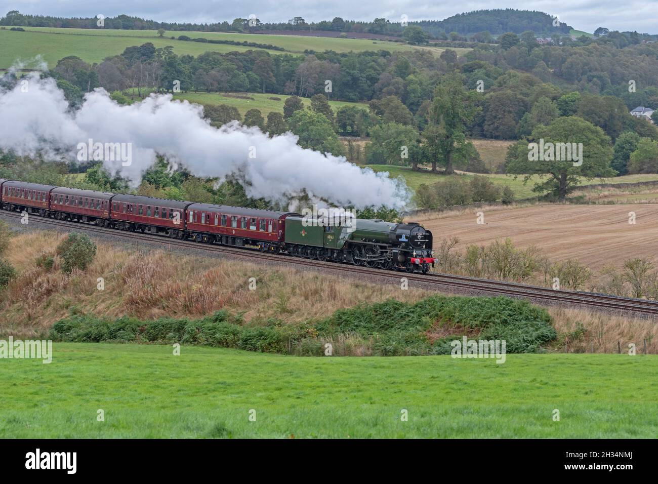 'The Ribblehead Rambler' hauled by steam locomotive Tornado 60163 from Carlisle to Hull at Armathwaite corner on the Settle Line Stock Photo