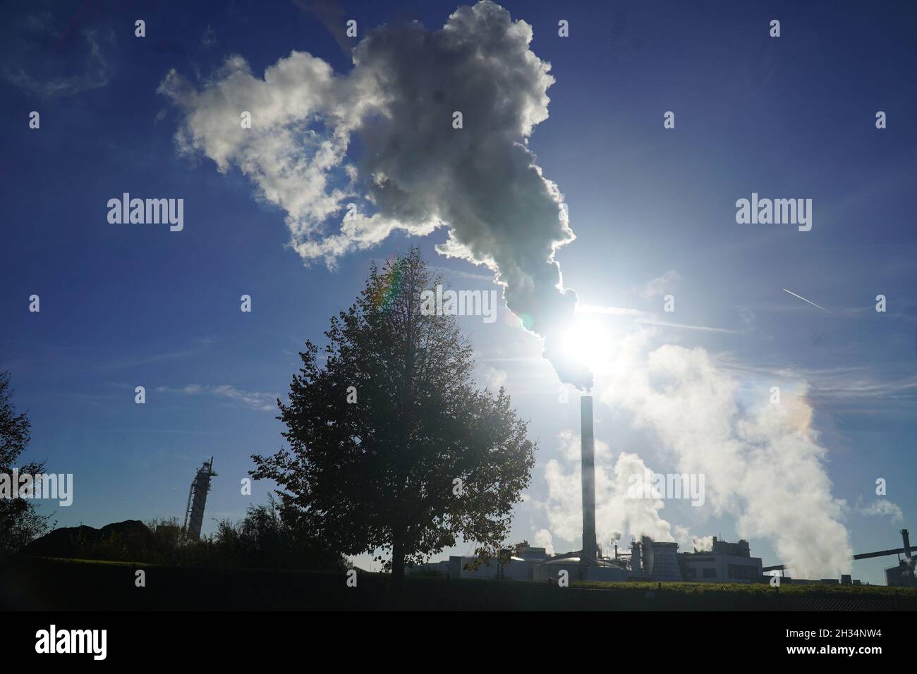 Smoking chimney against bright sun in afternoon makes white clouds up to high sky. Air pollution in bright sun backlight. Environmental pollution. Stock Photo