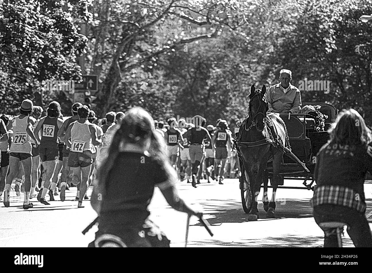 Horse-drawn carriage and runners competing in  the 1973 New York City Marathon. Stock Photo