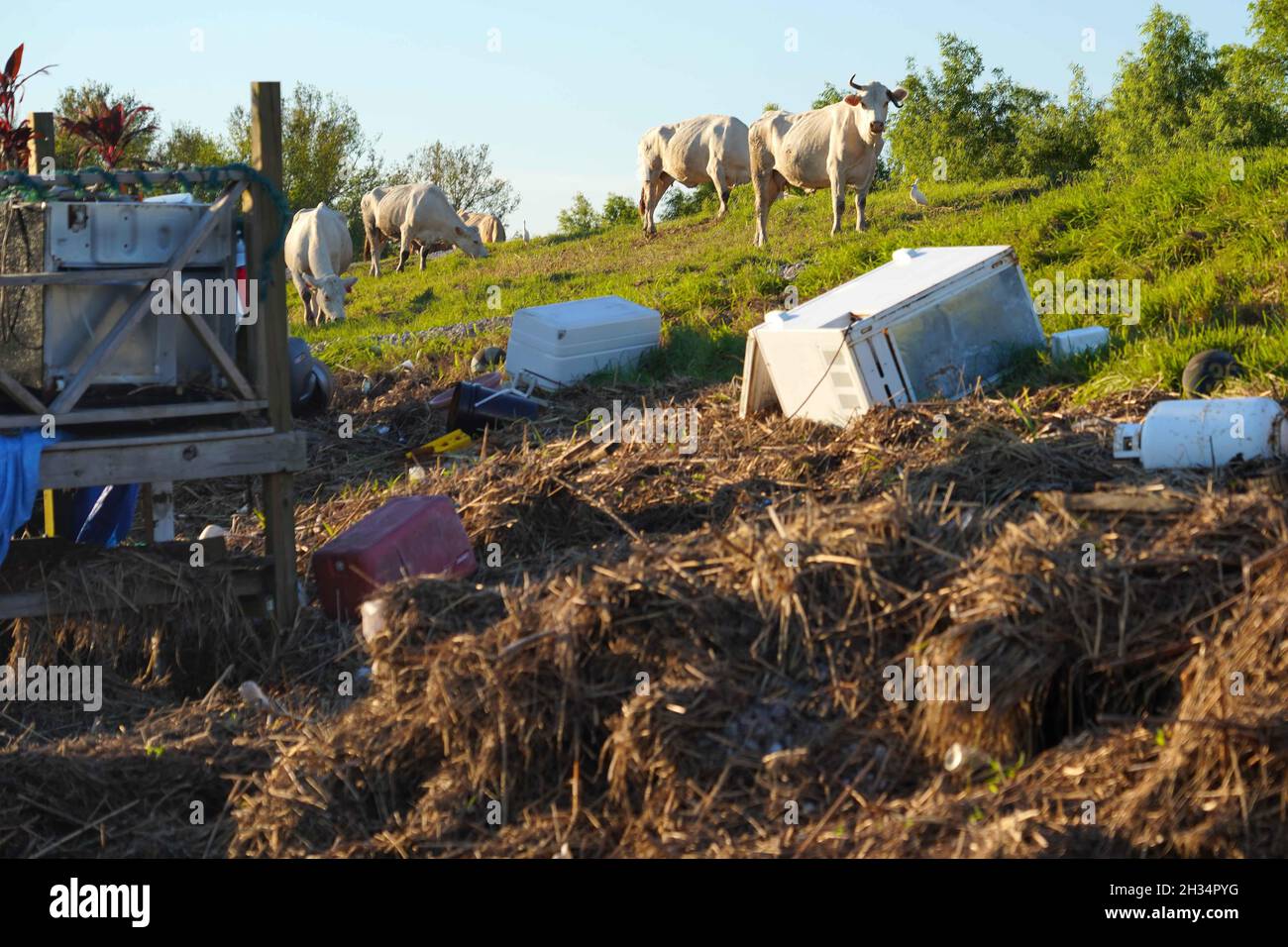 Ironton louisiana hires stock photography and images Alamy