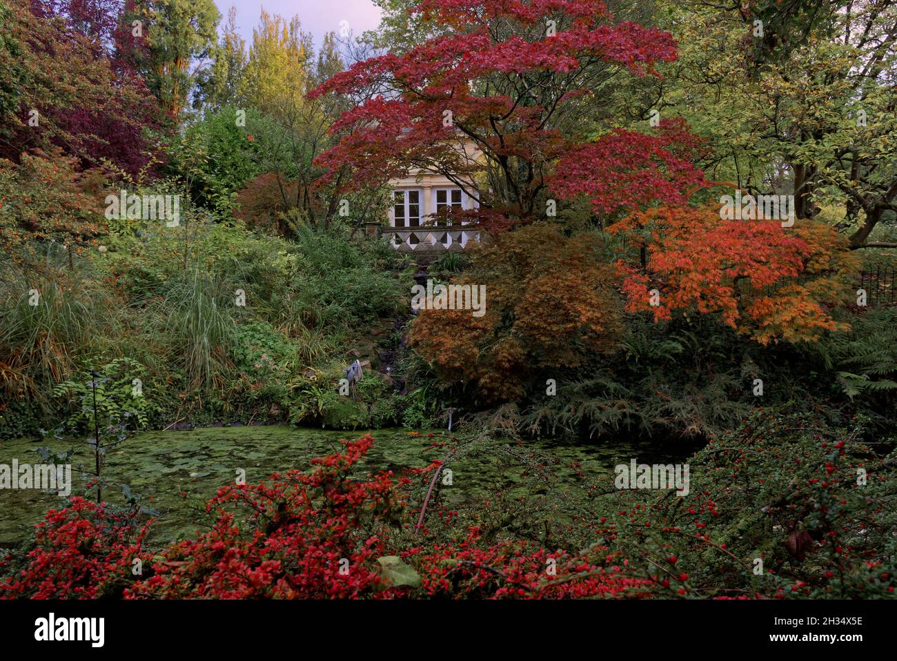 autumn botanical gardens bath Stock Photo - Alamy